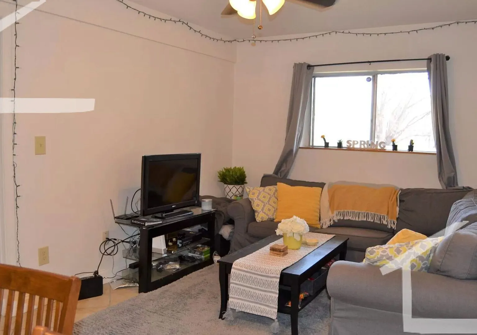 Great 2-bed with Pool! Ht + HW Incl., 2 Parking Spots Included. Cat Friendly — Photo 4