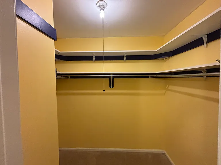 walk in closet in master bedroom