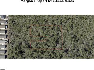Morgan Paper St #1, Lake Helen, FL 32744