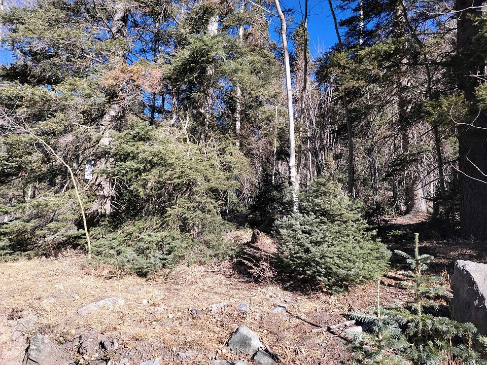LOT 1A Snowshoe Rd, Valdez, NM 87580 MLS 109771 Zillow