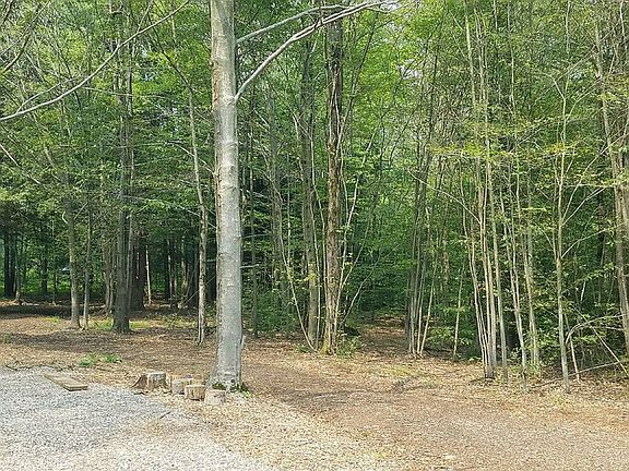 4th image of 85 County Route 11