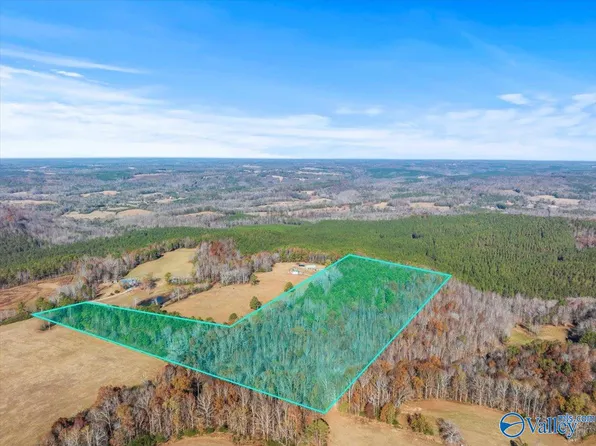 County Road 960, Crane Hill, AL 35053
