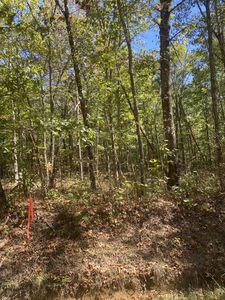4 Laurel Lake Dr Lot 4, Monteagle, TN, 37356