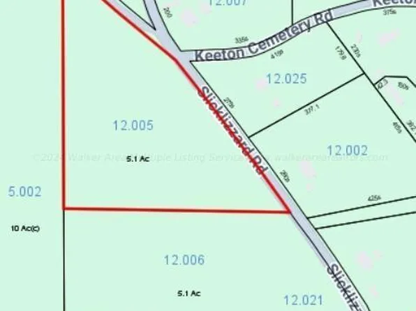 Slick Lizzard Rd, Nauvoo, AL 35578