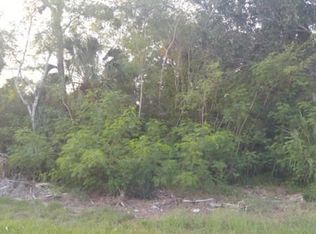 Pine Dale Ct, Hernando beach, FL 34607