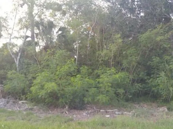 Pine Dale Ct, Hernando Beach, FL 34607