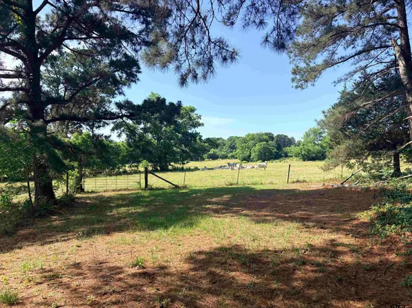 22173 Highway 135, Troup, TX 75789