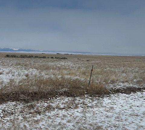 3rd image of Nhn Antelope Rd