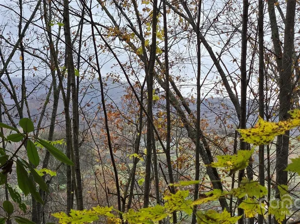 62 Turkey Hollow Ct, Waynesville, NC 28785