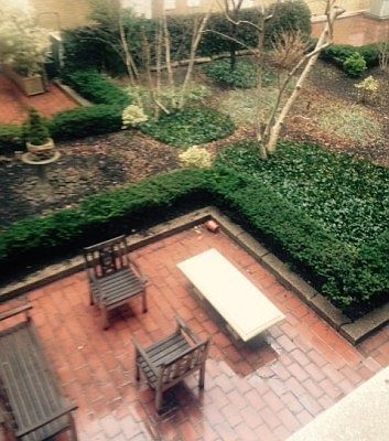3rd image of 60 9th Ave APT 240
