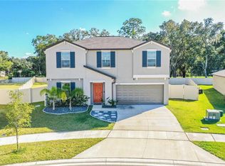 4124 Salt Springs Ln, Lakeland, FL 33811
