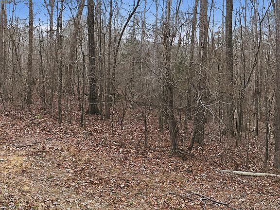 3rd image of Harbor Loop