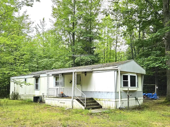 697 S Brown Trl, Indian River, MI 49749