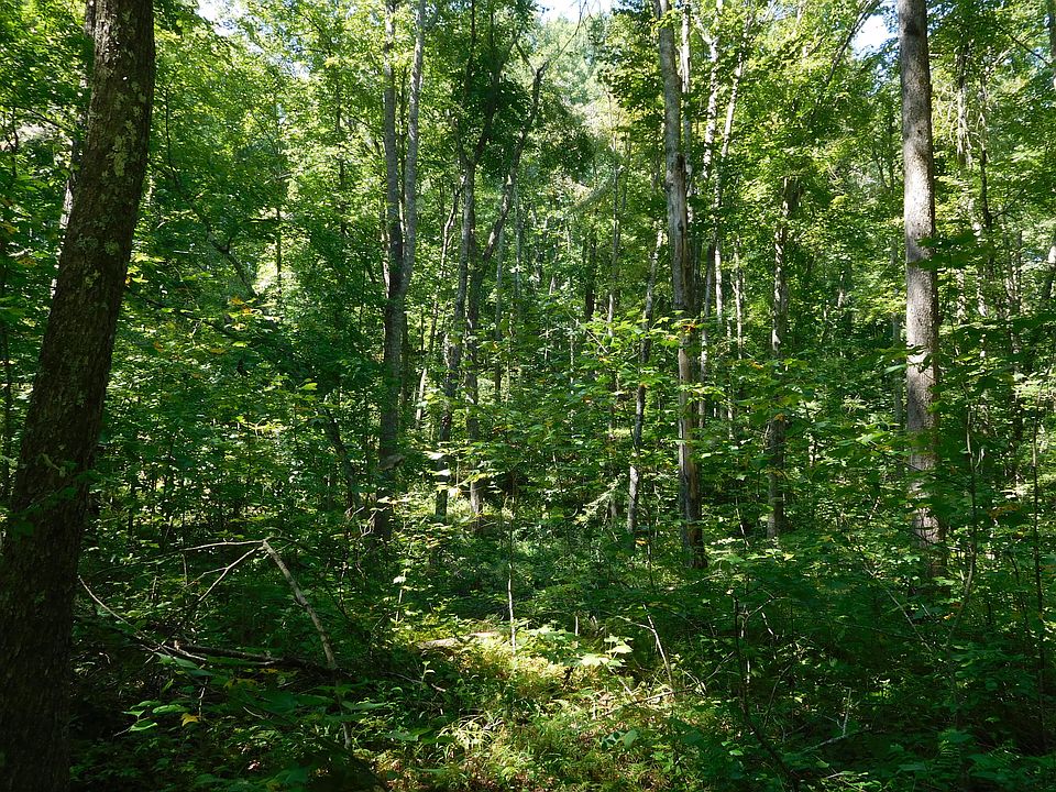 2nd image of Belmont Circle 6 Lot 47