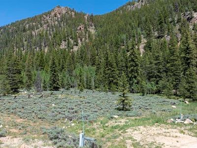 270 Jolee Trail, Almont, CO, 81210