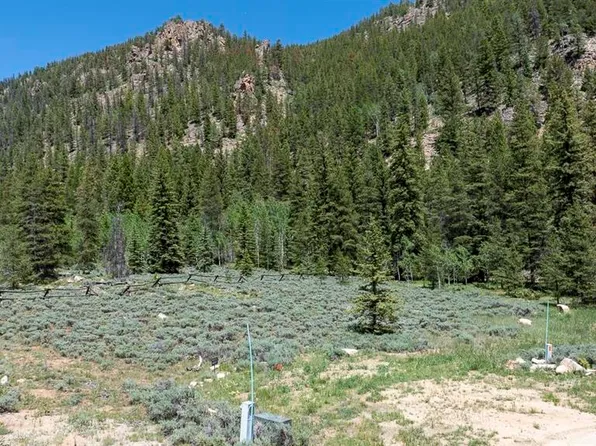 270 Jolee Trail, Almont, CO 81210