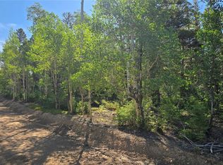 Lot 5816 Balleroy Road LOT 5816, Fort Garland, CO 81133