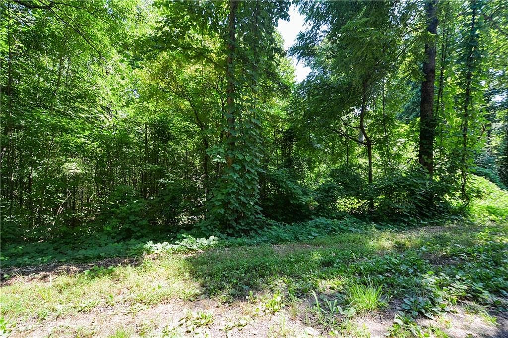 N/a Hobson Rd 161, Jasper, GA 30143 MLS 7251718 Zillow