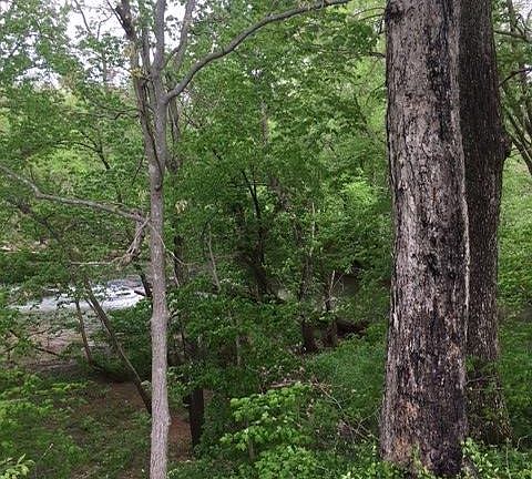 View of Little River