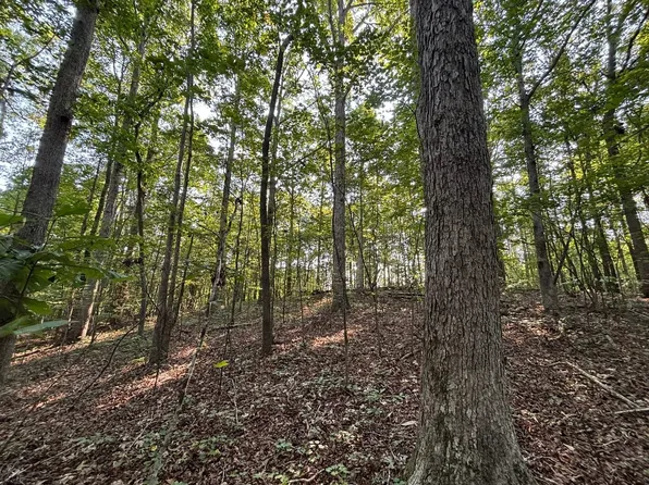 0 County Road 3161, Houston, AL 35572