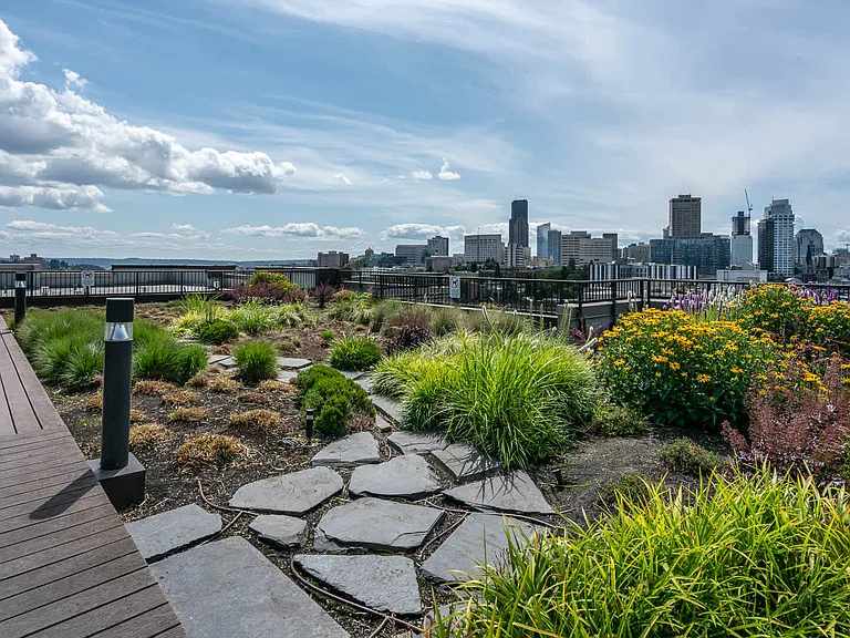 Private Rooftop Deck
