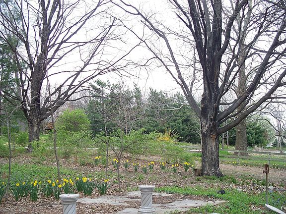 Shade Garden and Patio in East Side Yard