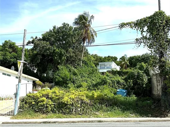 Avenue Valero Media Luna, Fajardo, PR 00738