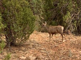 LOT Trailblazer Dr #A, Overgaard, AZ 85933