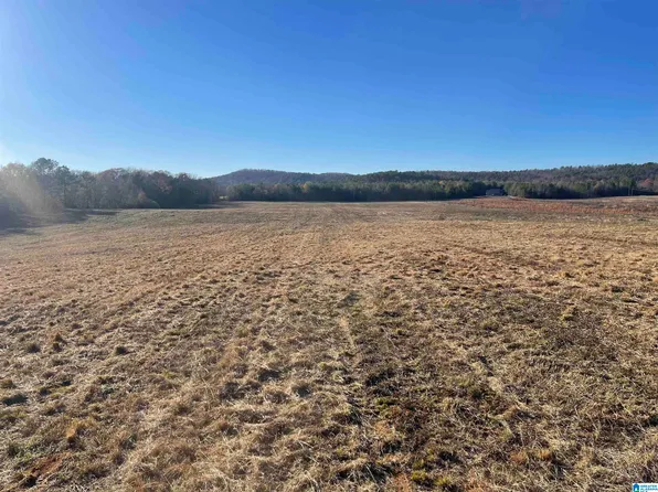 Gallups Ln #3, Wilsonville, AL 35186