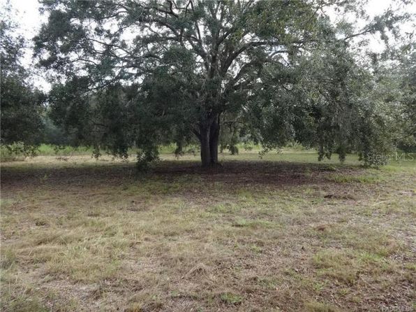 5795 S Power Ter, Homosassa, FL 34446