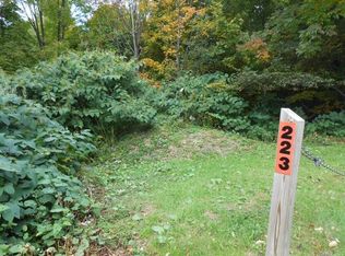 223 Ridge Rd, Schenevus, NY 12155