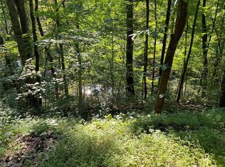 E Branch Rd, Lowell, OH 45744