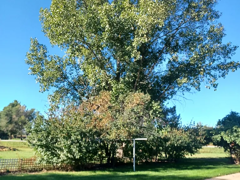 County Road 15 — Photo 15