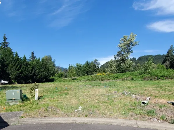 48489 Roaring Rapids Way, Oakridge, OR 97463