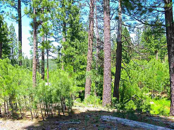 4th image of 3691 Sierra Estates Dr #1