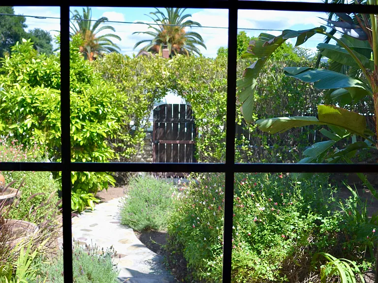 View of front garden from bedroom. Front garden has mature grapefruit tree, fountain and stunning mature date palm.