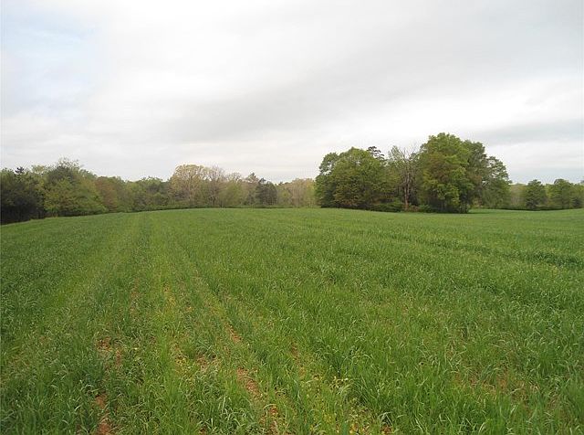 1st image of 245 Forest Trl