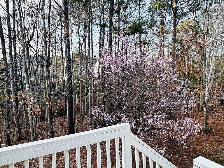 Addenbrock Dr — Photo 10