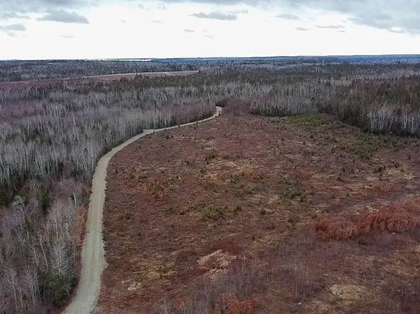 M10L1 Route 1, Jonesboro, ME 04648