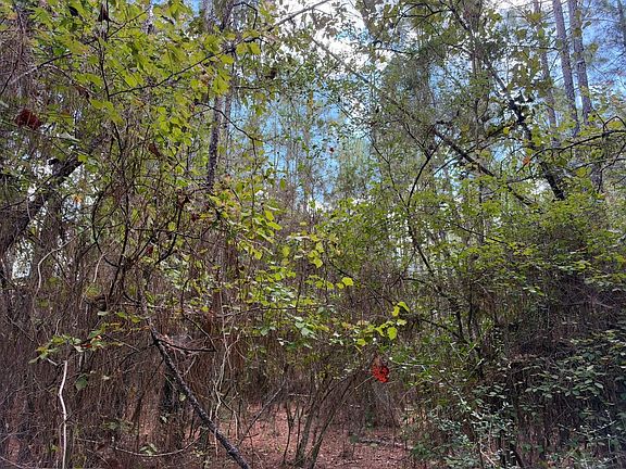 5th image of 0 Tatum Salt Dome Rd