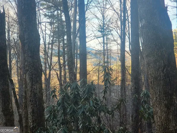 LOT -7C Hawkeye Trl, Rabun Gap, GA 30568