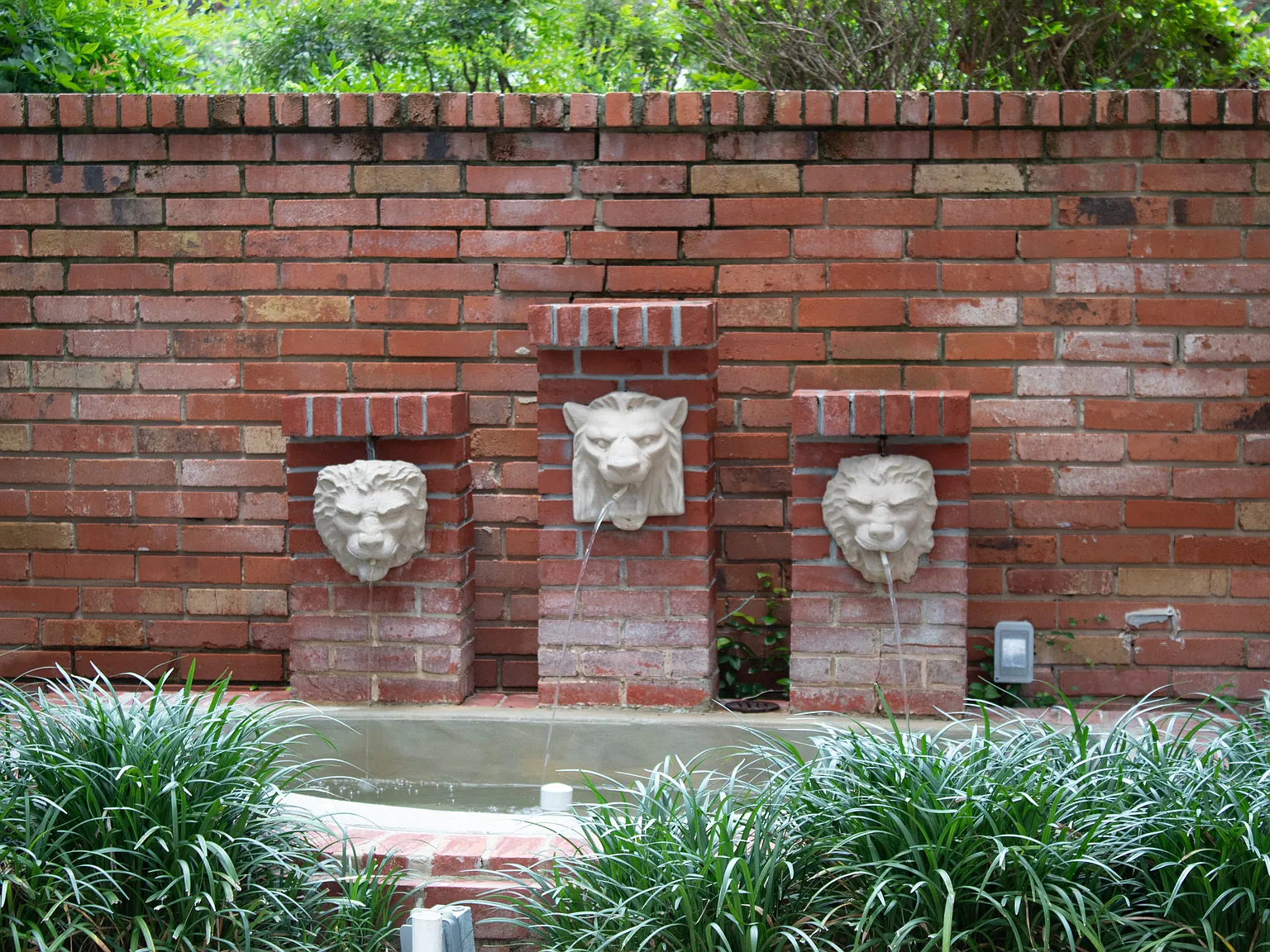 1 bed, 652 sqft, $1,000 — Photo 3