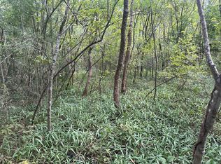 0 Flakes Addition Lot 4-5-6, Hitchcock, TX 77563