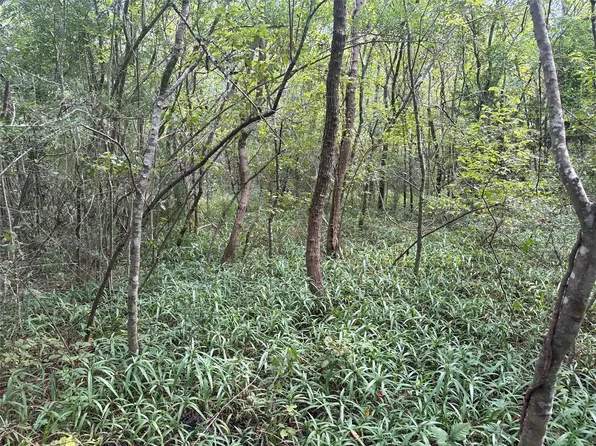 0 Flakes Addition Lot 4-5-6, Hitchcock, TX 77563