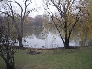3rd image of 1028 Tara Ln