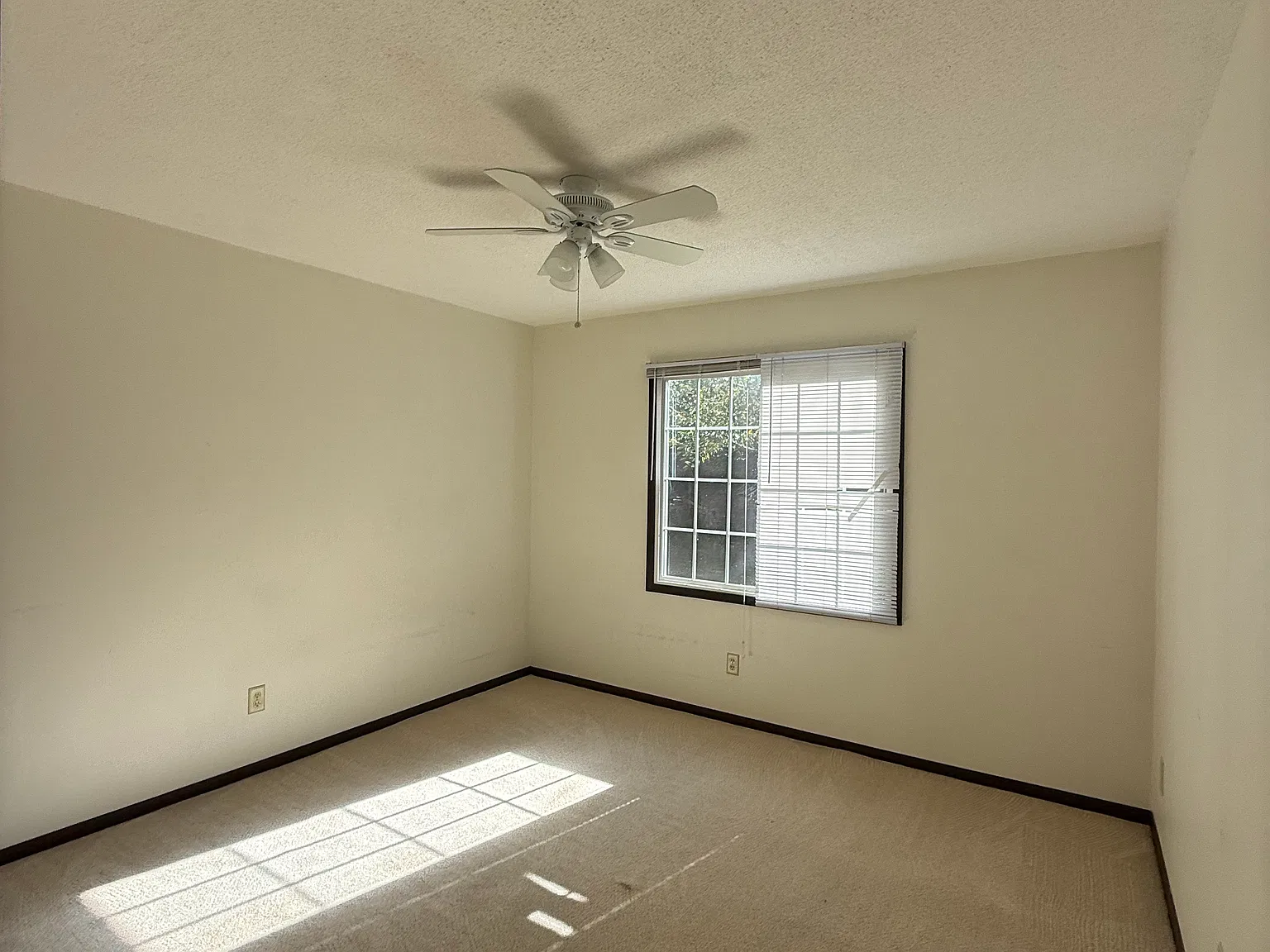 2 bed, 900 sqft, $950 — Photo 3