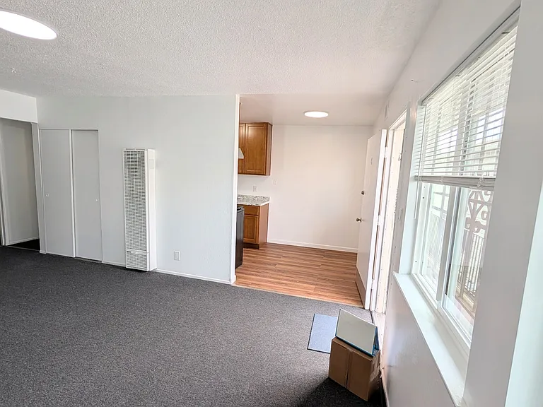 1843 8th Ave #6 — Photo 6
