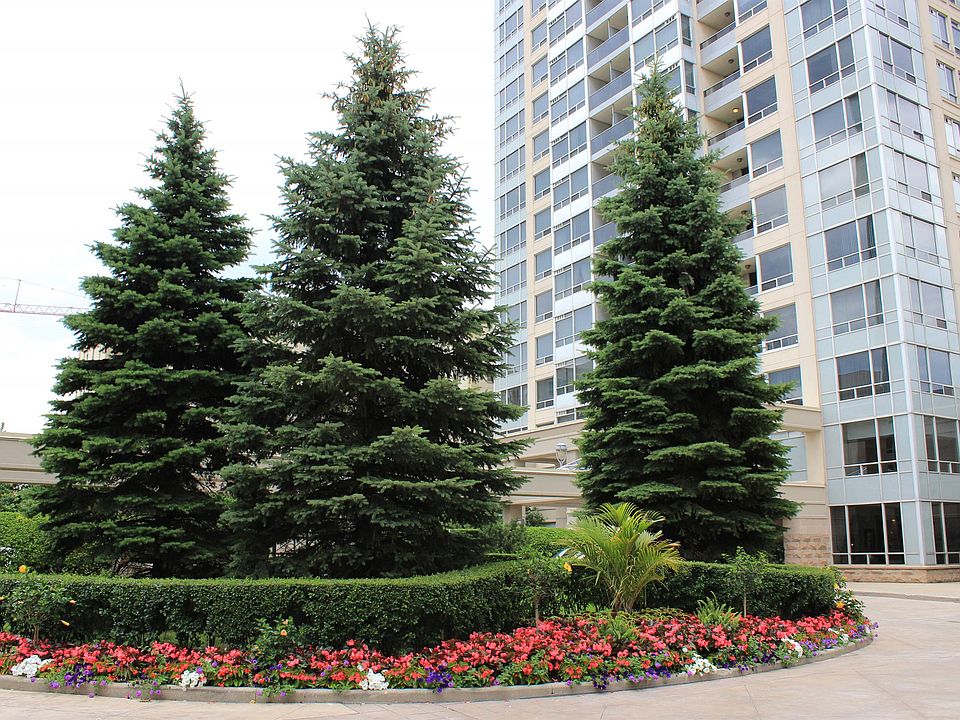 2nd image of 736 Spadina Ave #Condo
