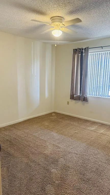 100 Canebreakers Dr — Photo 4