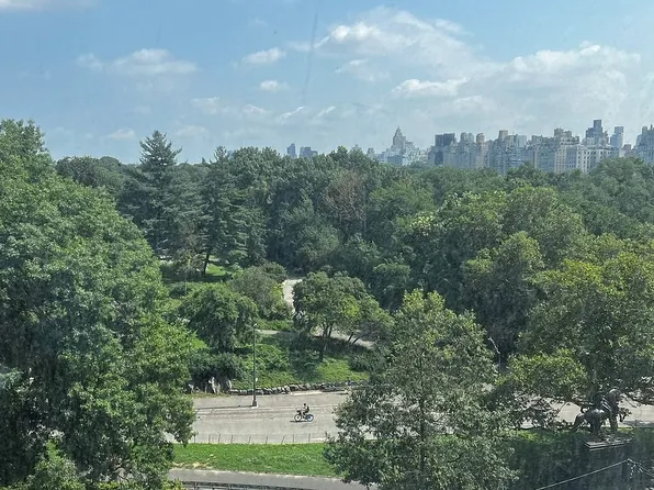 116 Central Park S APT 8N, New York, NY 10019